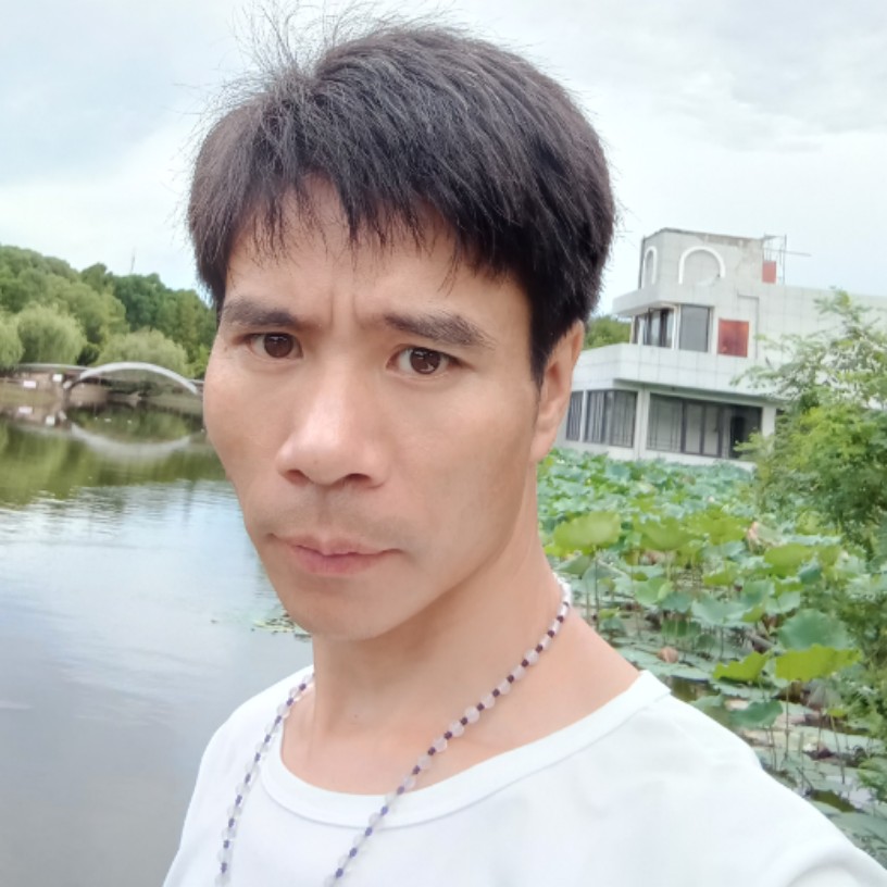 黯然放弃鱼的照片