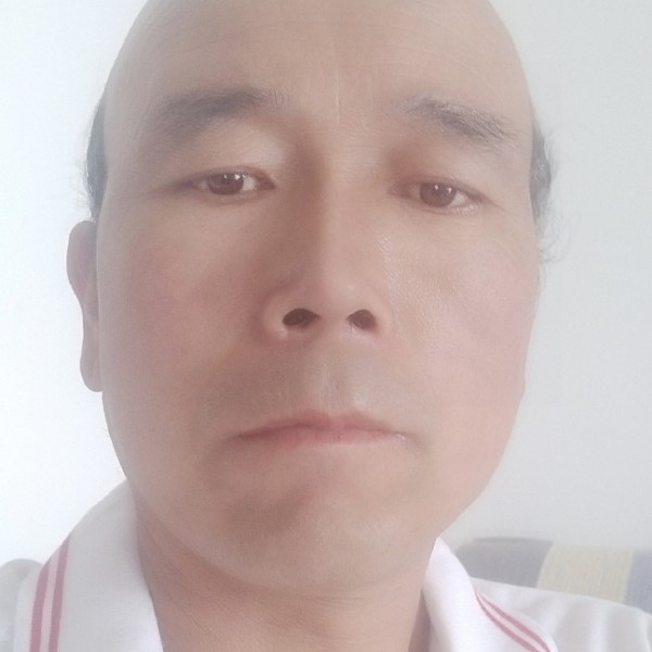 青-松的照片