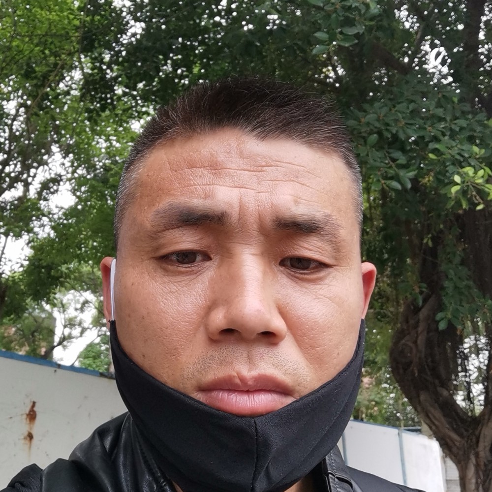 香蕉拾忆太阳的照片