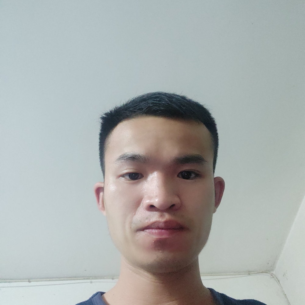 钢笔的沉静的照片