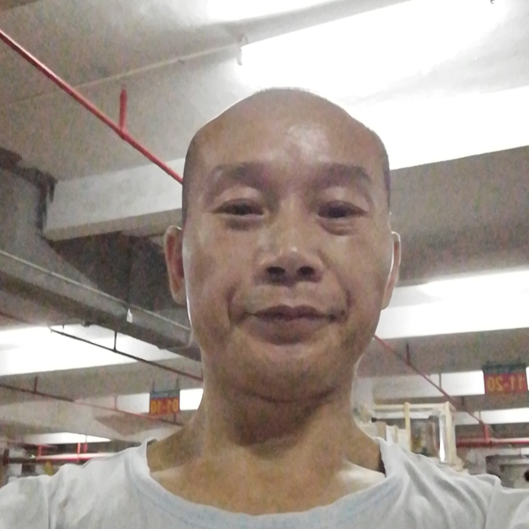 有花无果的照片