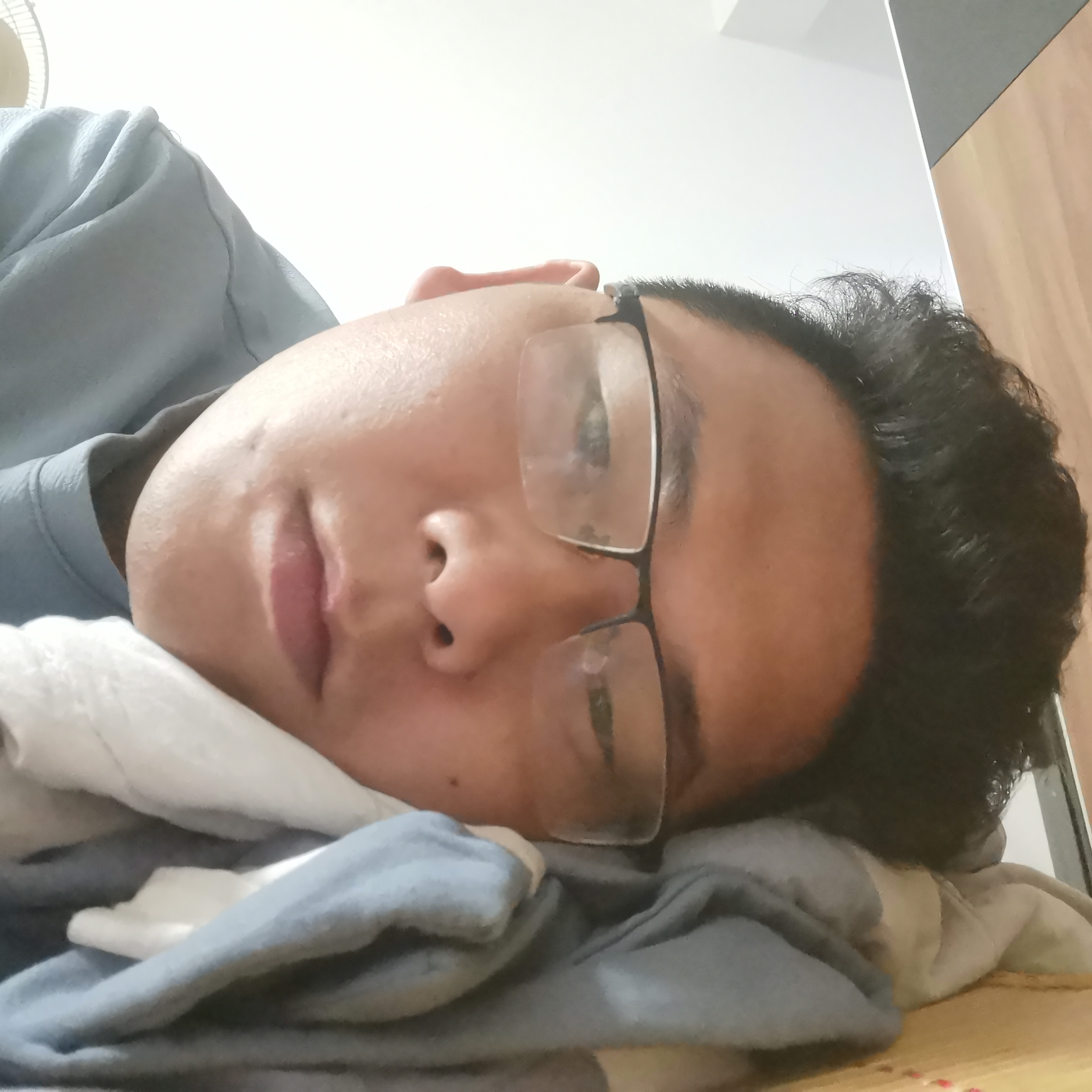 含羞草回眸饱满的照片
