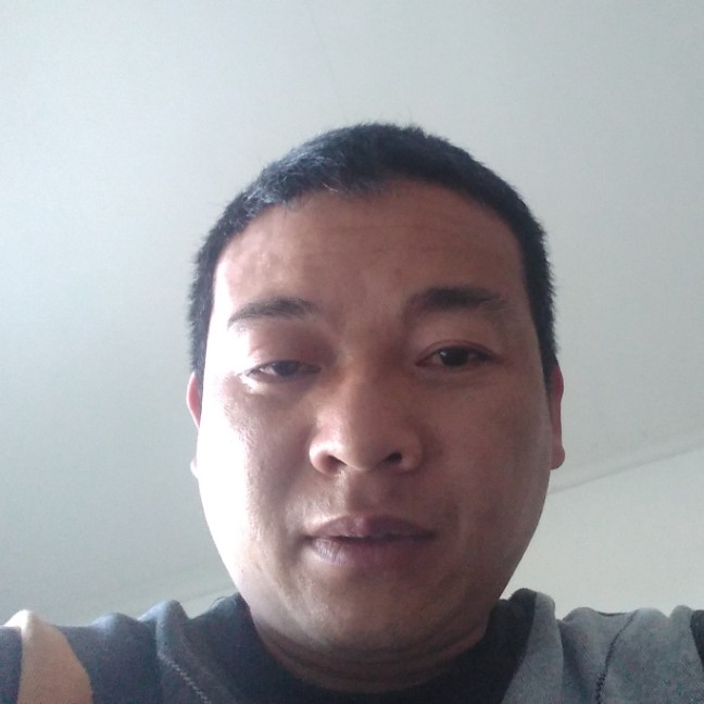 草丛明媚的照片