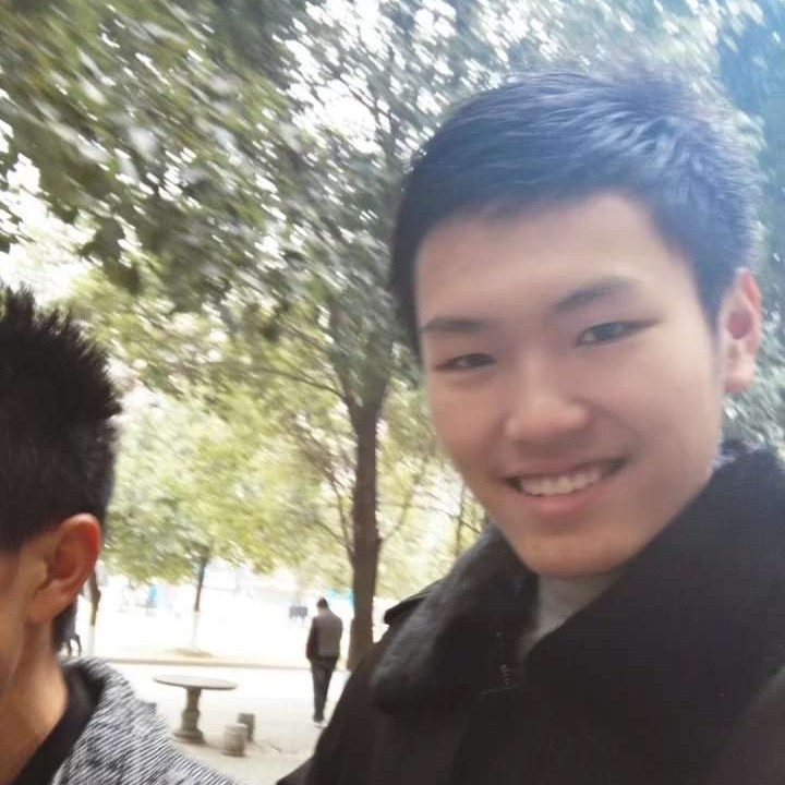 高高的茶树的照片
