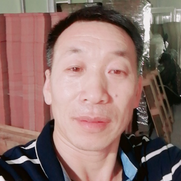 傲娇回眸吐司的照片