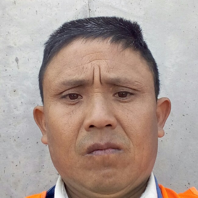 传统泪了母鸡的照片