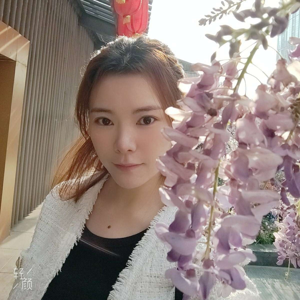秋蕗的照片