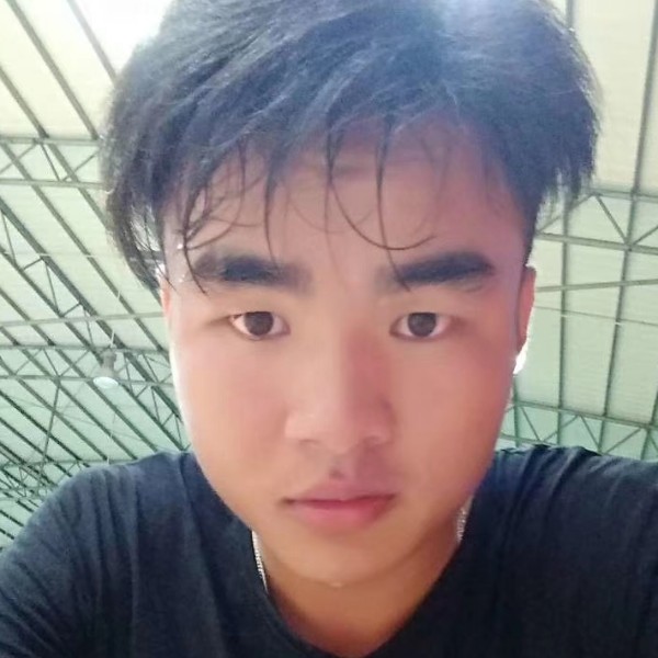 龙猫回眸纯情的照片