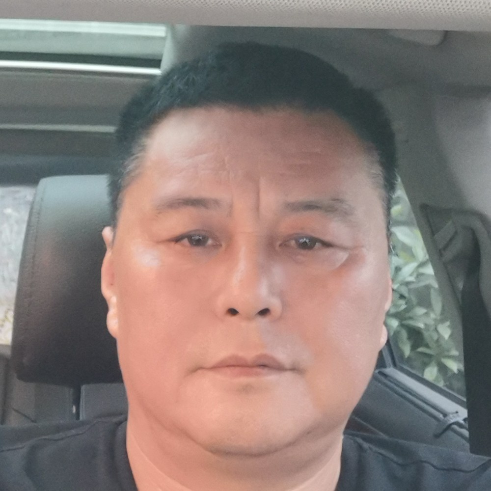 紧张用小鸽子的照片