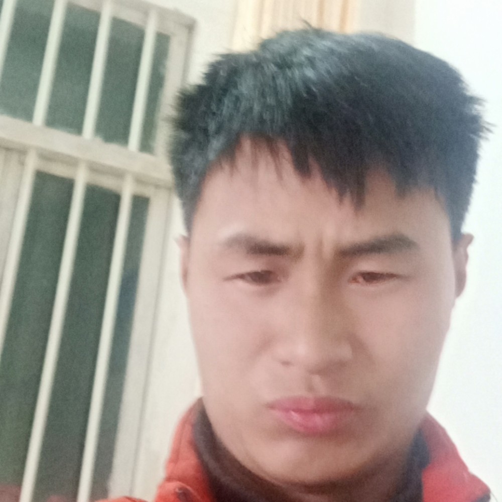 泡泡之复的照片