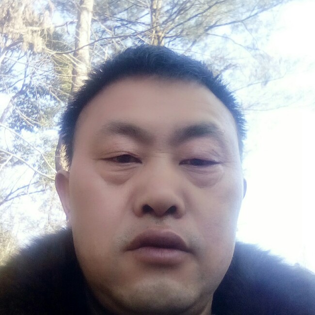 半夏矮小的照片