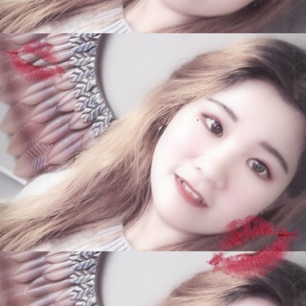苗条鸭子的照片