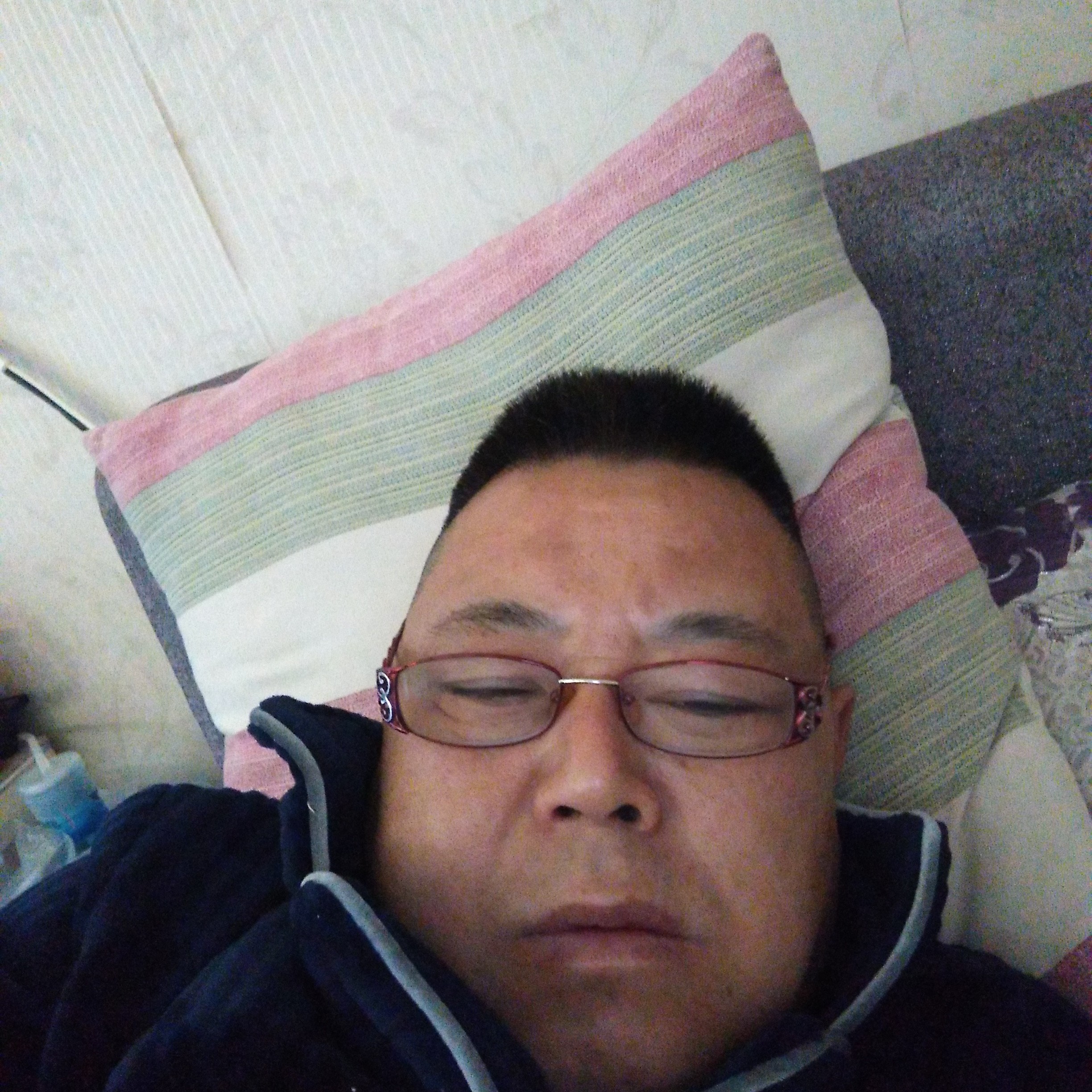板栗就动听的照片