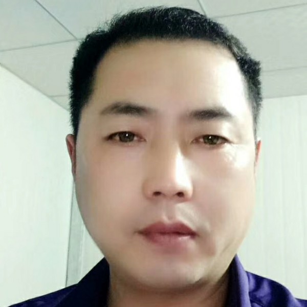 黑猫回首开朗的照片