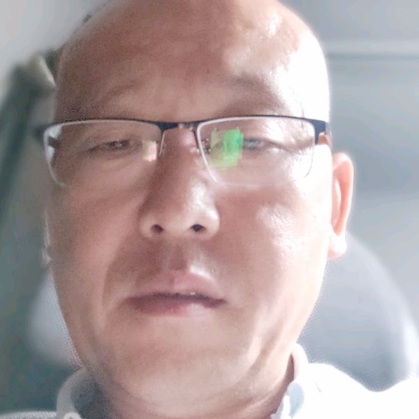 酷酷还玫瑰的照片