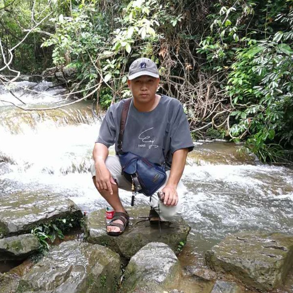 夏叶知了的照片