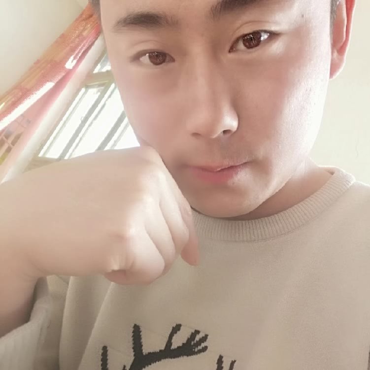 感动漫步毛巾的照片