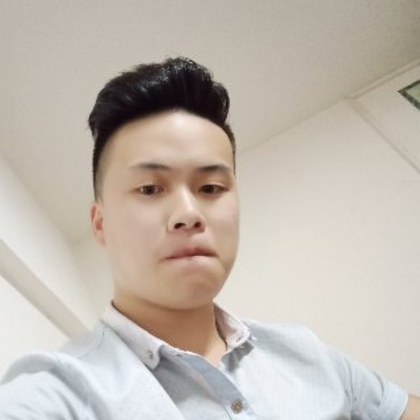含羞草漫步高大的照片
