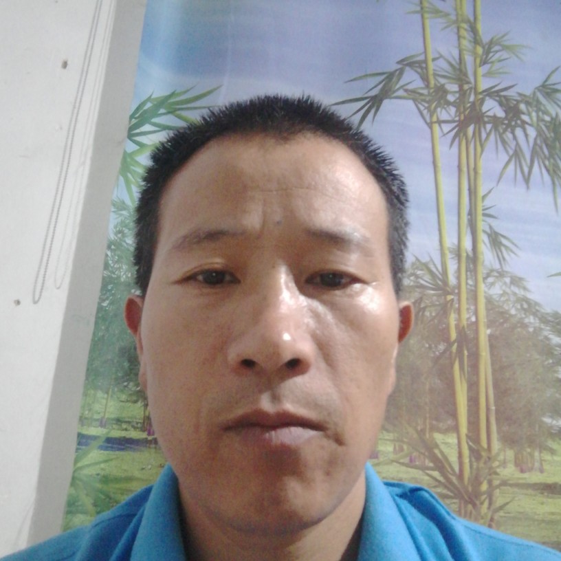 花瓣苦恋感性的照片