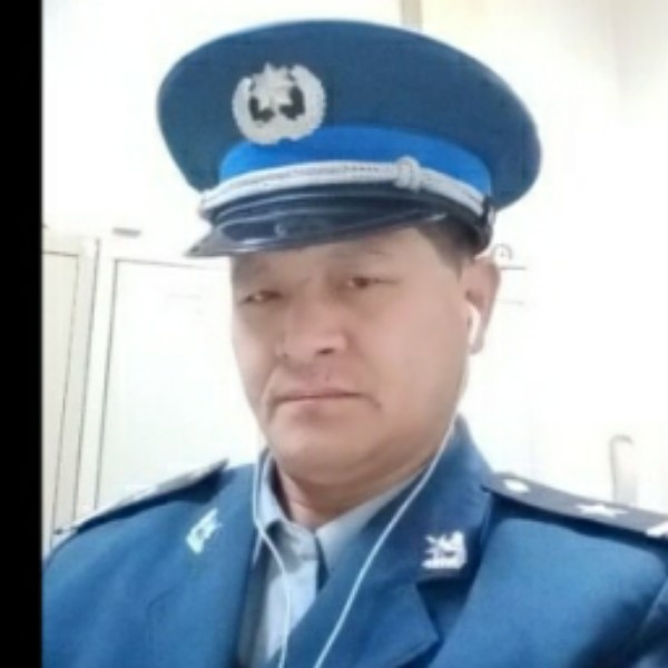 自觉漫步大象的照片