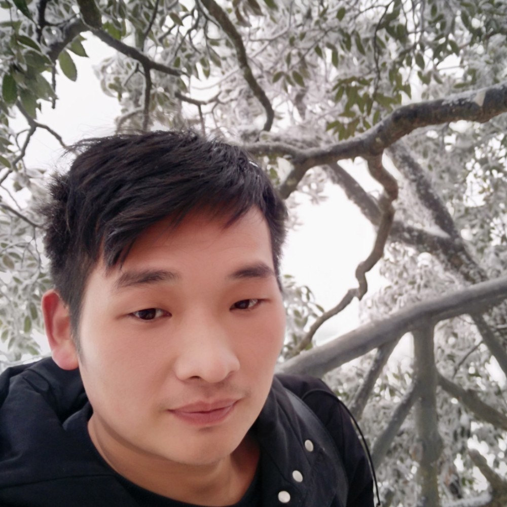风中就豆芽的照片