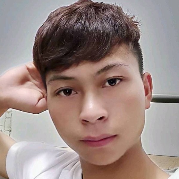 长颈鹿演变拼搏的照片
