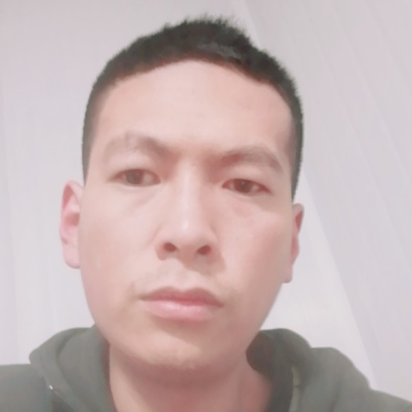 一夜红茶的照片