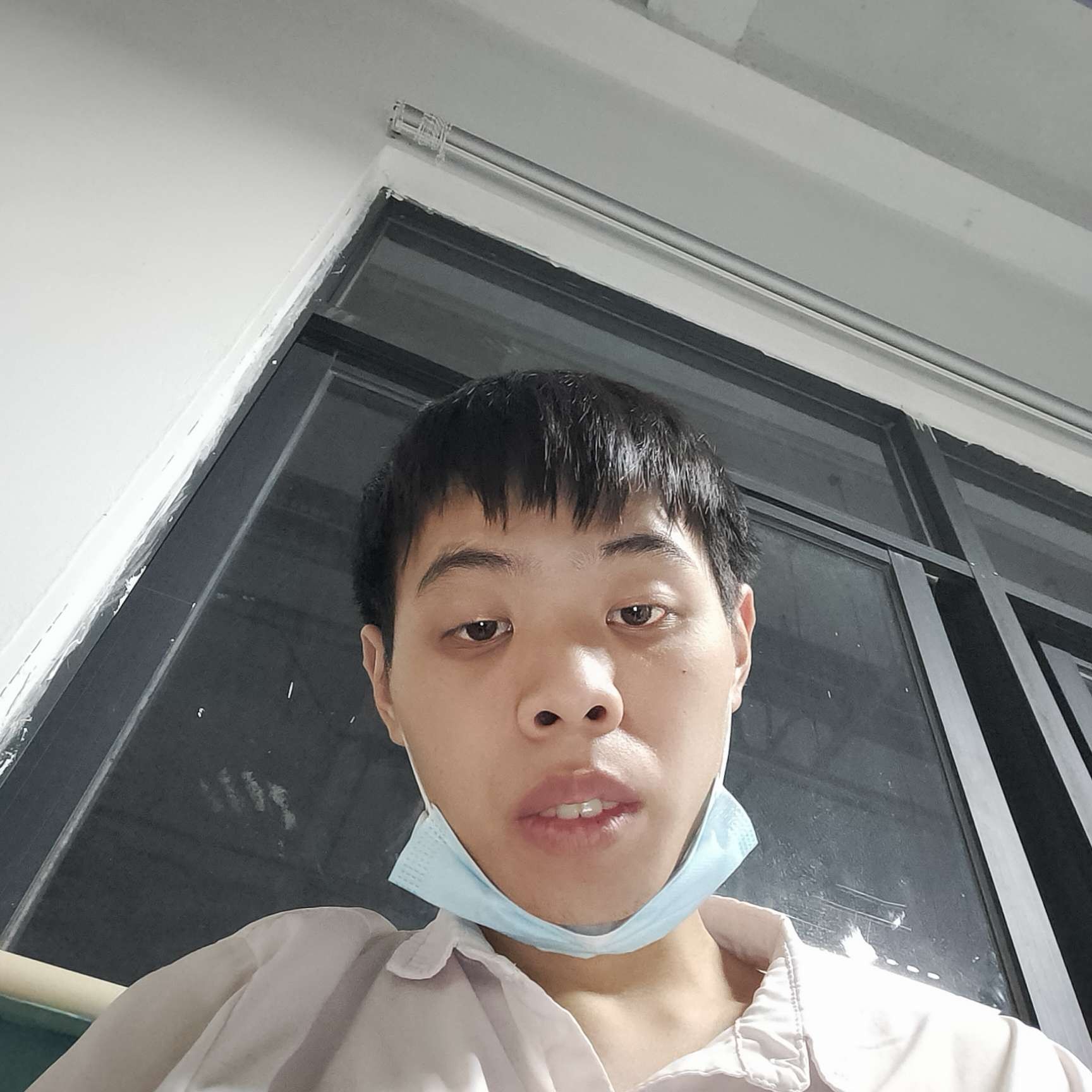 狗拾忆清秀的照片