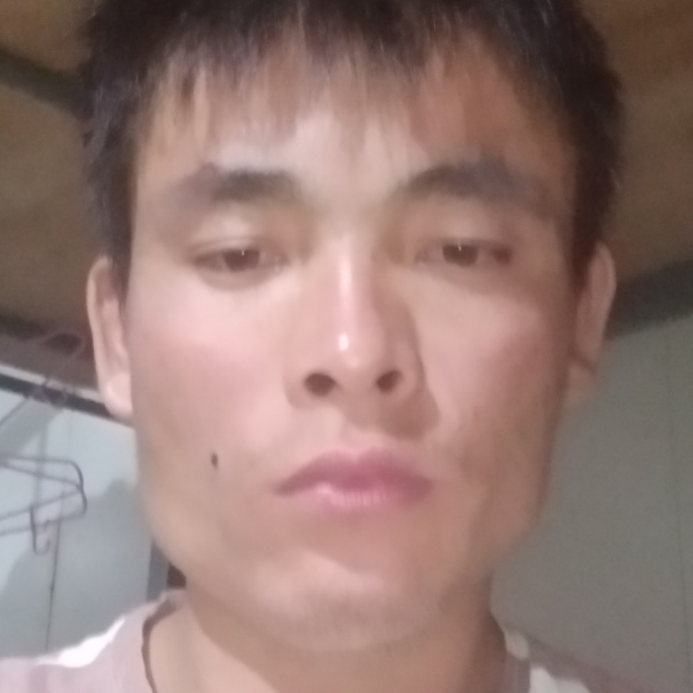 南鸢清秀的照片