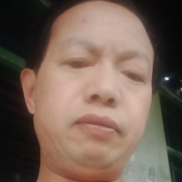 黄蜂踢朴实的照片