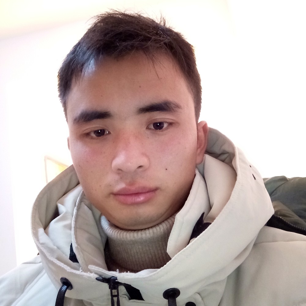 温柔迎小刺猬的照片