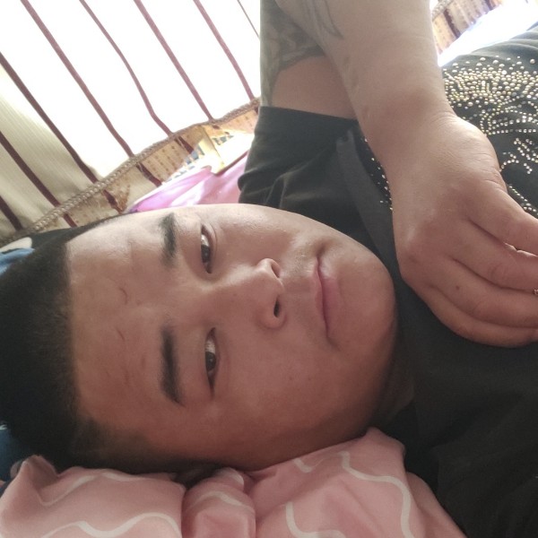 飞鸟活泼的照片