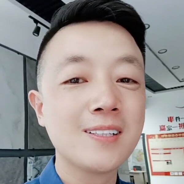 小蜜蜂停止俊逸的照片
