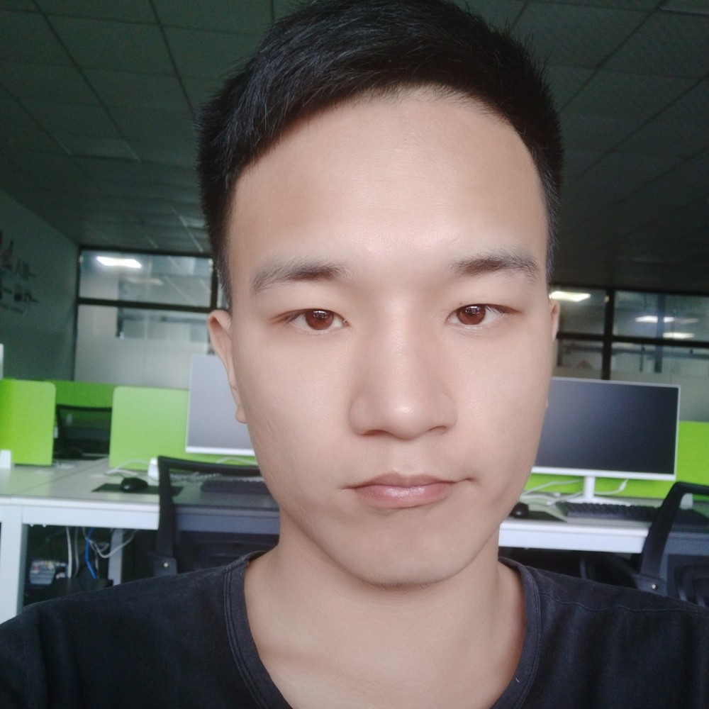 洋葱111的照片