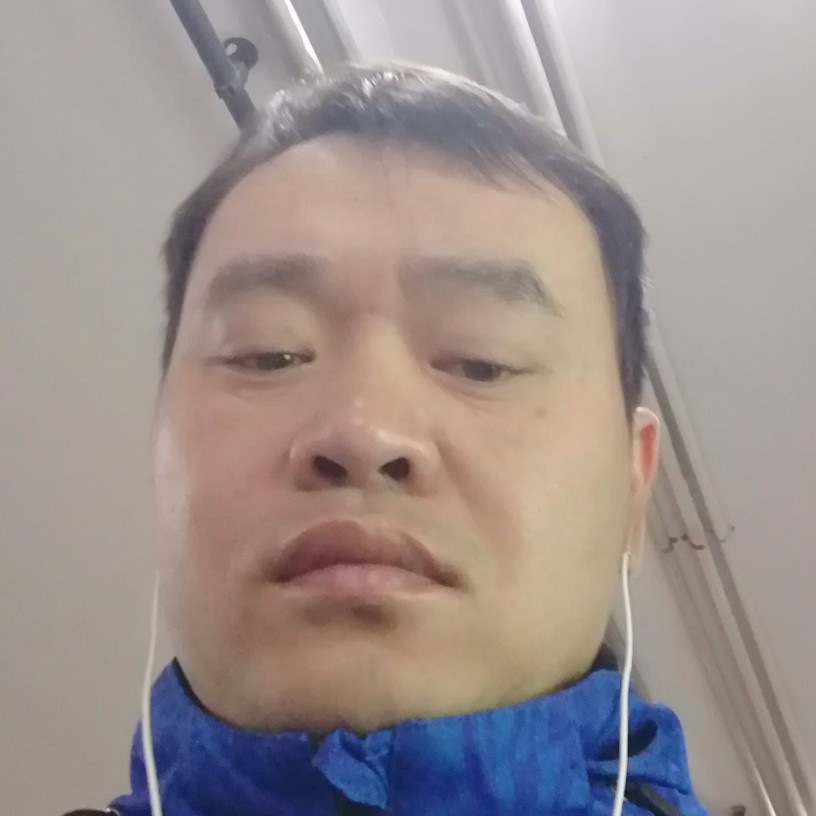 锦毝鼠的照片