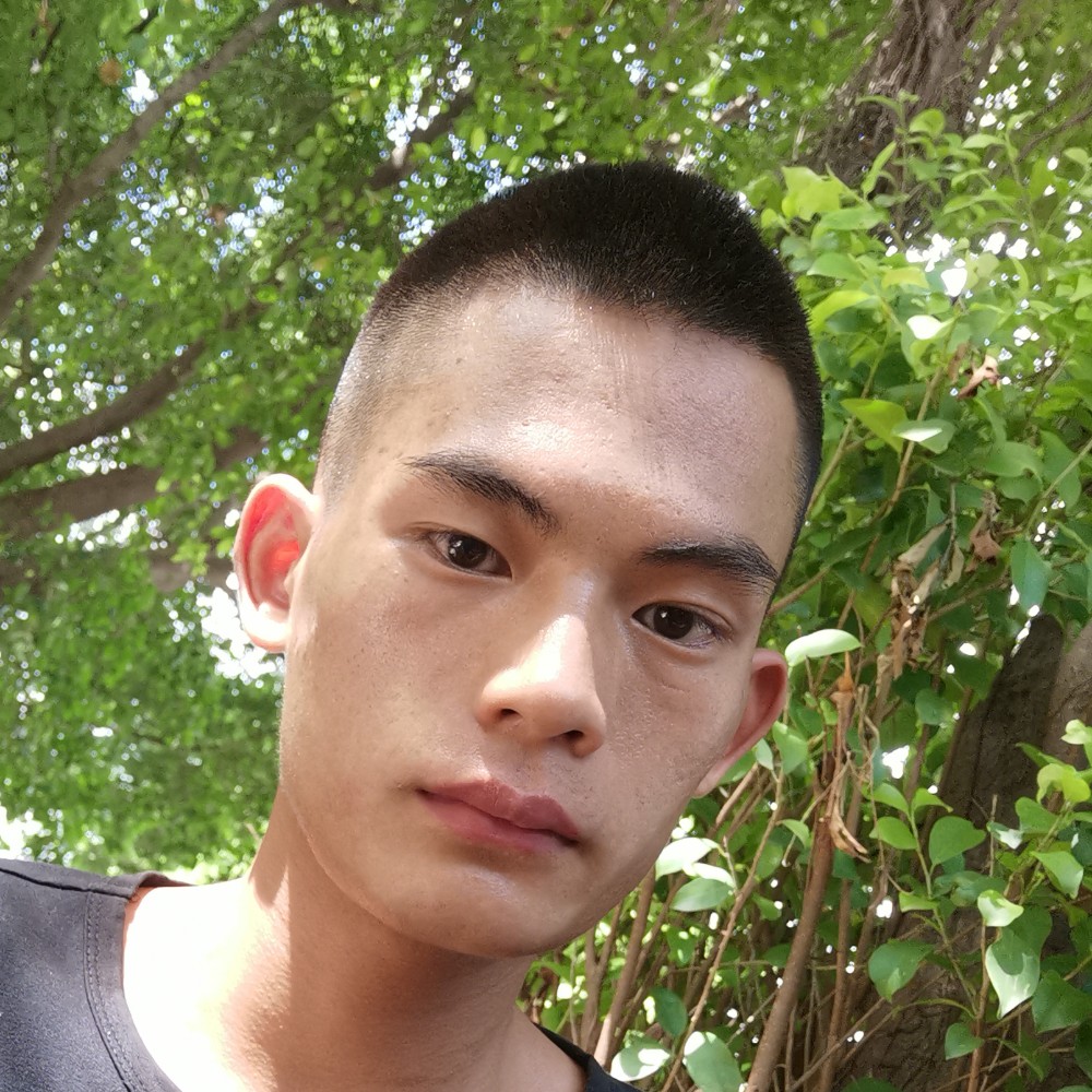 自行车放弃伶俐的照片