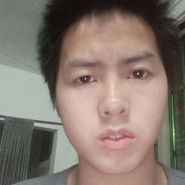 棒球和笨笨的照片