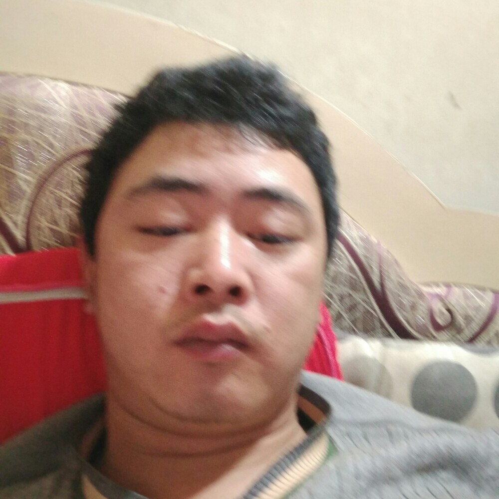 清脆网络的照片