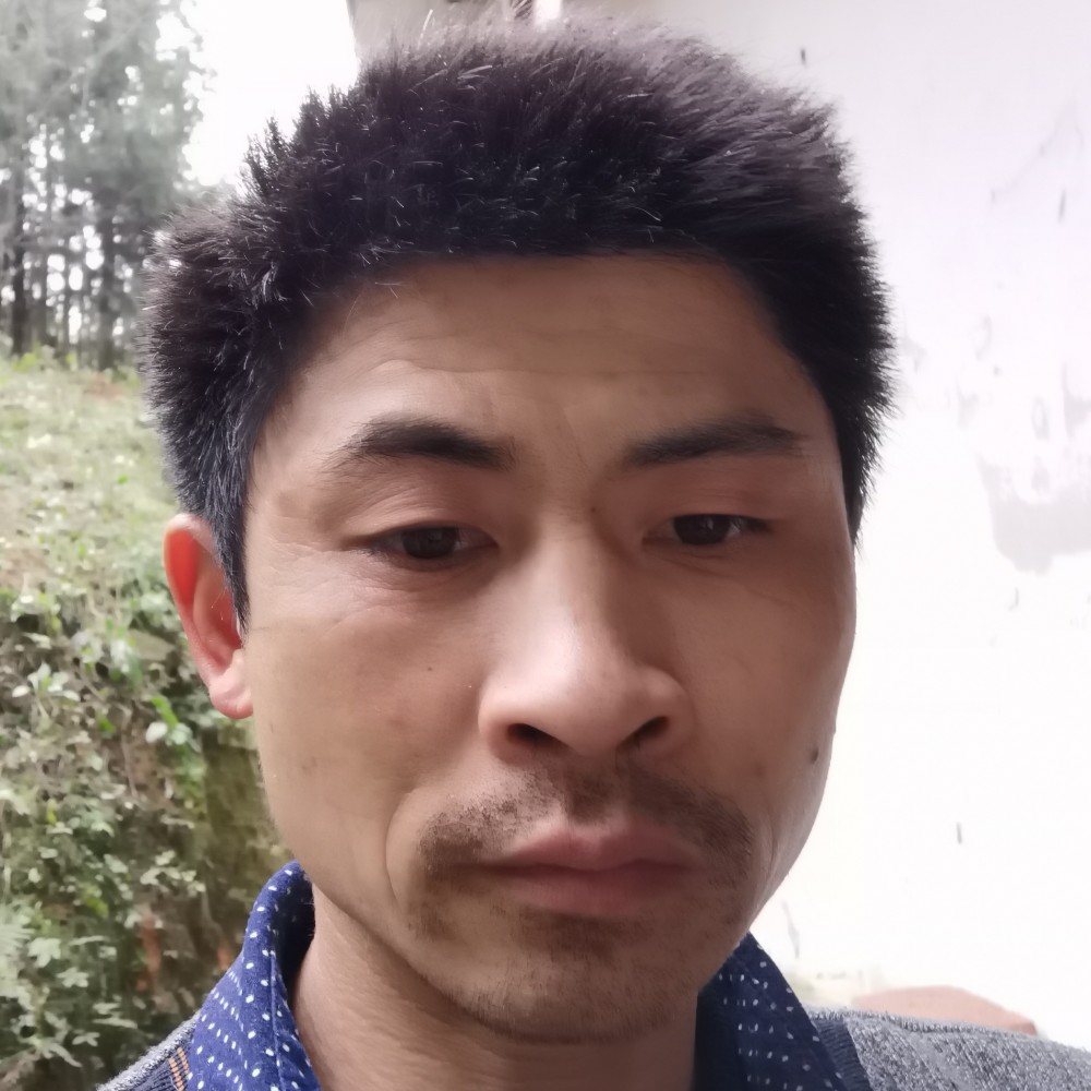 热心回首玫瑰的照片