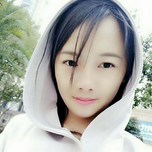 时尚白猫的照片