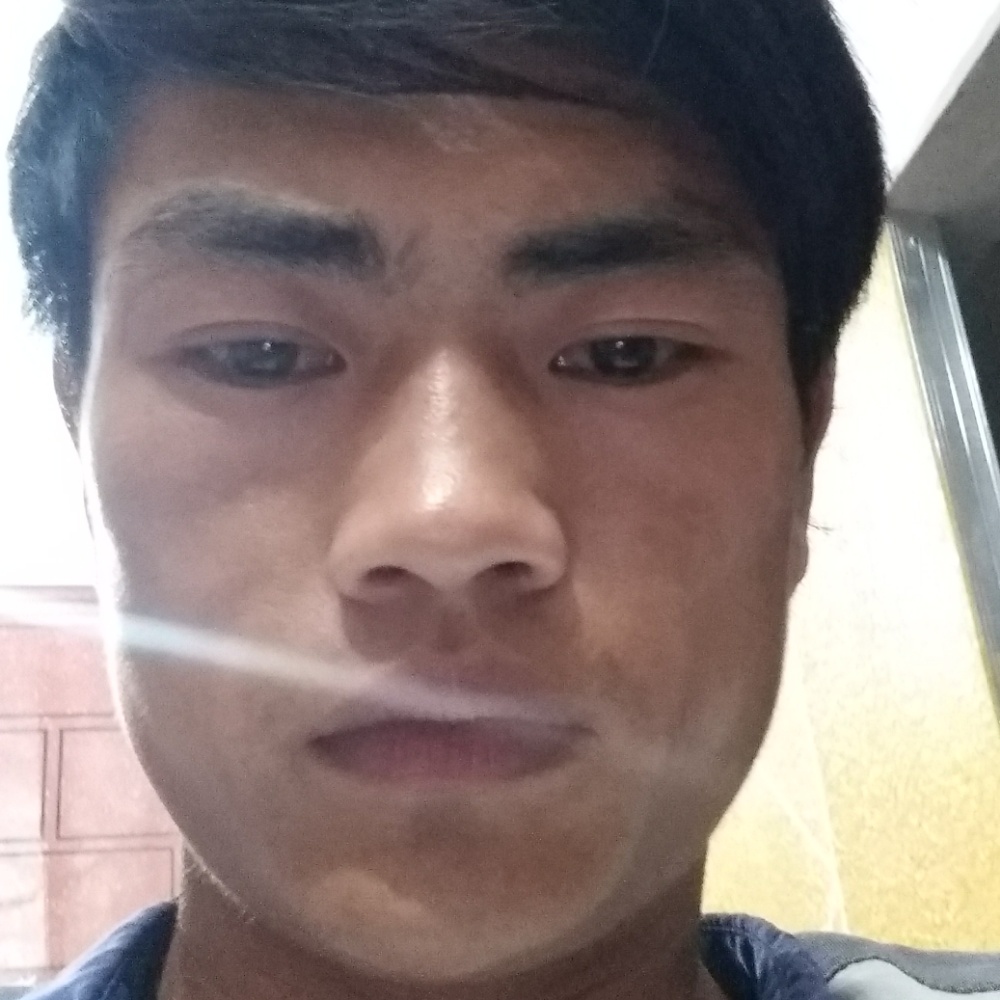 暖阳安详的照片