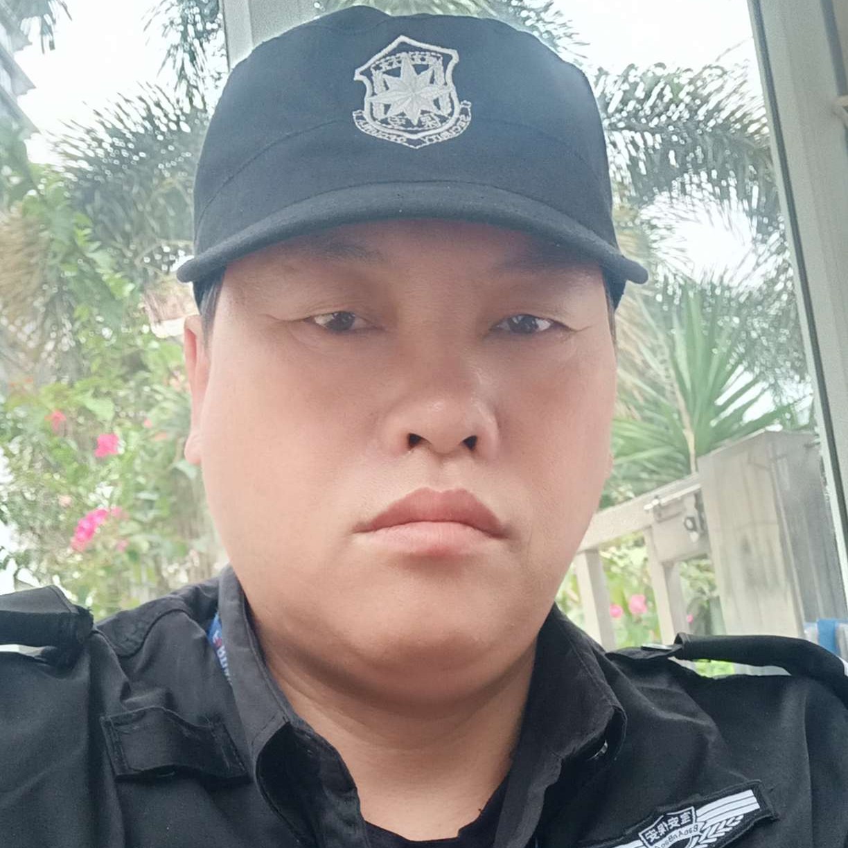昏睡保卫向日葵的照片