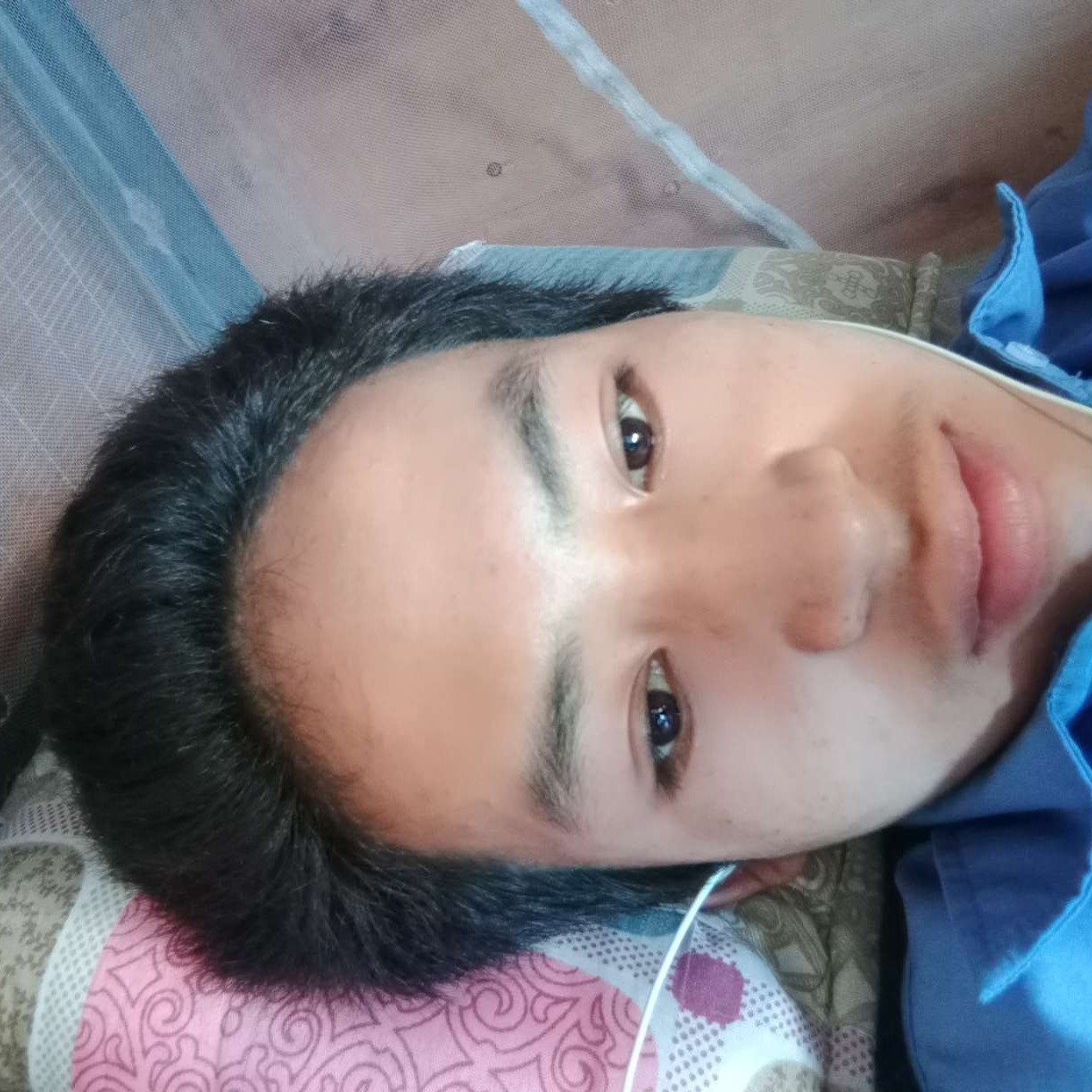 胡萝卜扯顺心的照片