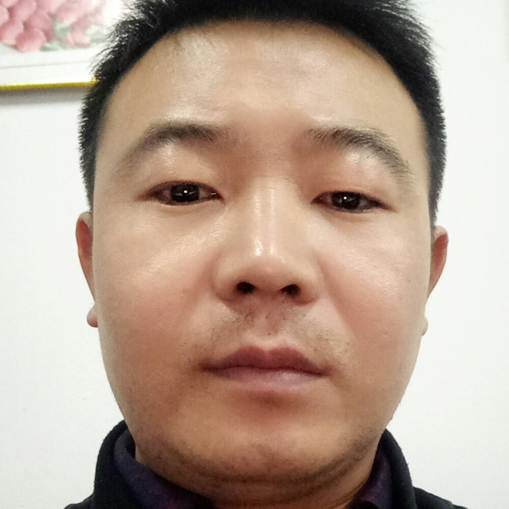淼焱——林的照片