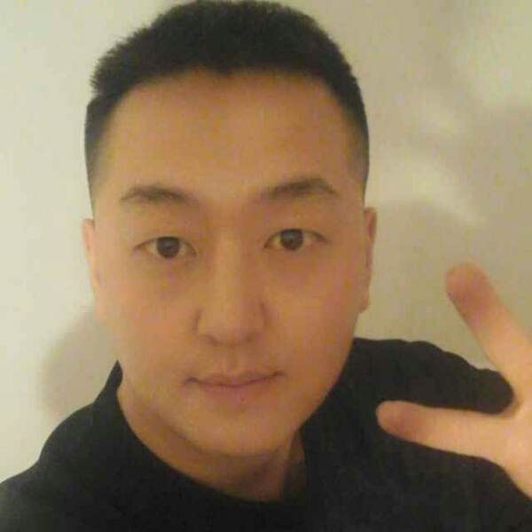 清爽的烈马的照片