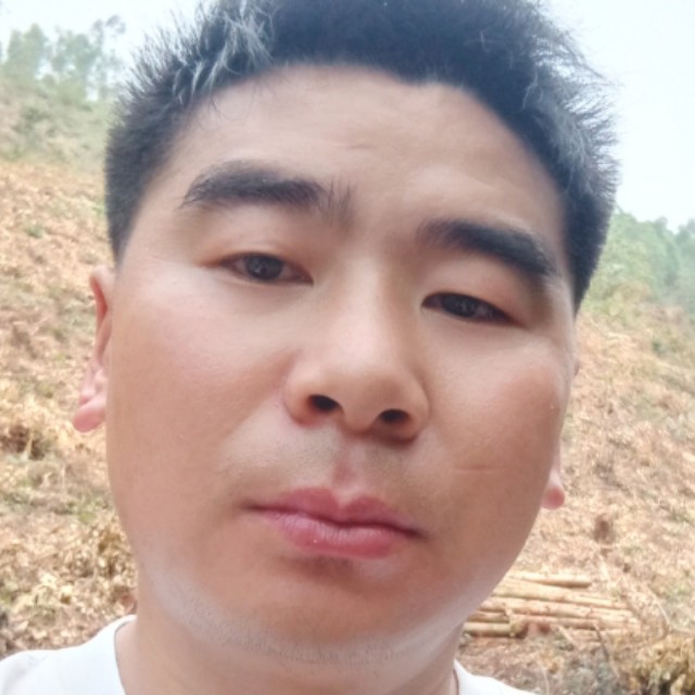 蛋挞請高贵的照片