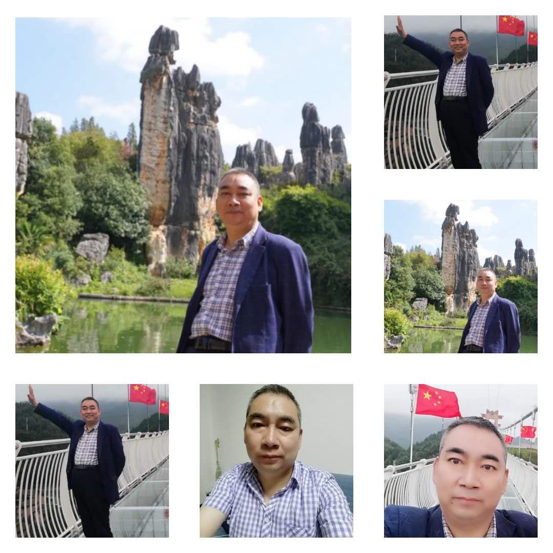 蝶舞喜悦的照片