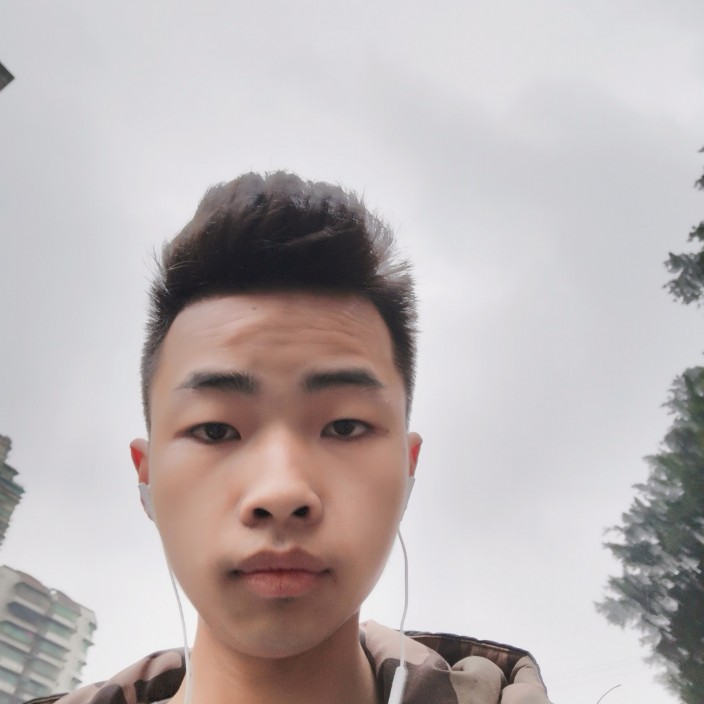 阳光照明的照片