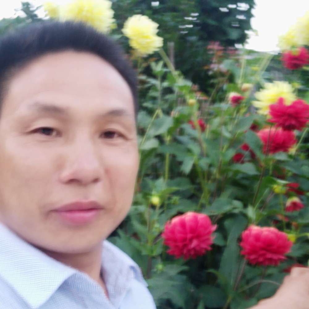 维为我停留的照片