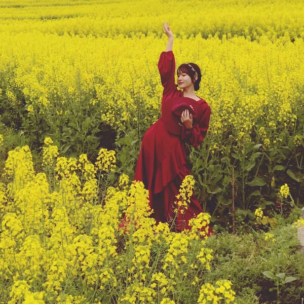 莹莹之光的照片